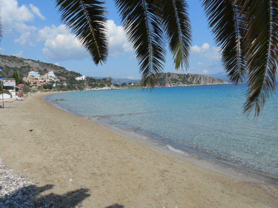 Assini 2*