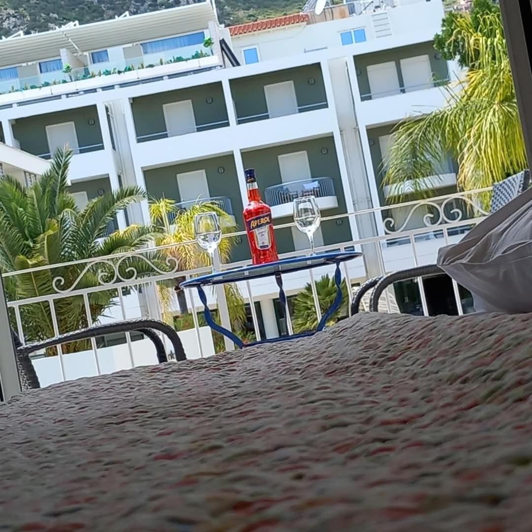 Assini Tolón
