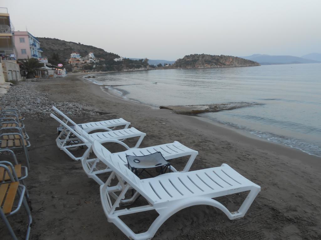 Assini 2*
